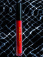 Liquid Lipstick