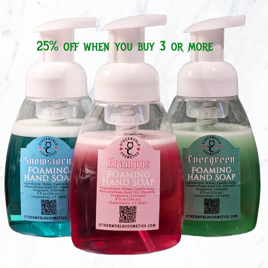 Winter Foaming Hand Soap